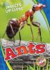 Cover image of Ants