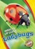Cover image of Ladybugs