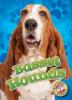 Cover image of Basset hounds