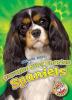 Cover image of Cavalier King Charles spaniels