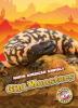 Cover image of Gila monsters