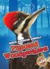 Cover image of Pileated woodpeckers
