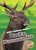 Cover image of Rocky Mountain elk