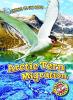 Cover image of Arctic tern migration