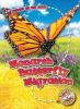 Cover image of Monarch butterfly migration