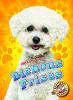 Cover image of Bichons frises