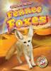Cover image of Fennec foxes