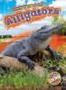 Cover image of Alligators