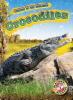 Cover image of Crocodiles