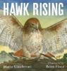 Cover image of Hawk rising