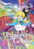 Cover image of The princess and the goblin