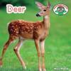 Cover image of Deer