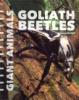 Cover image of Goliath beetles