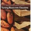 Cover image of Turning beans into chocolate