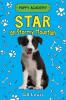 Cover image of Star on Stormy Mountain