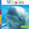 Cover image of Whales