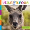 Cover image of Kangaroos