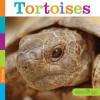 Cover image of Tortoises