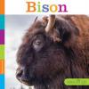 Cover image of Bison