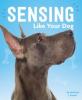 Cover image of Sensing like your dog