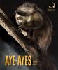 Cover image of Aye-ayes