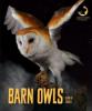 Cover image of Barn owls