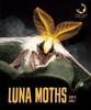 Cover image of Luna moths