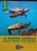 Cover image of 12 marine animals back from the brink