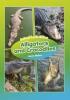 Cover image of Alligators and crocodiles