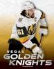 Cover image of Vegas Golden Knights