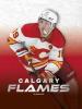 Cover image of Calgary Flames