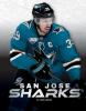 Cover image of San Jose Sharks