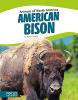 Cover image of American bison
