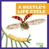 Cover image of A beetle's life cycle