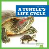 Cover image of A turtle's life cycle