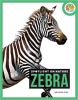 Cover image of Zebra