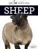 Cover image of Sheep