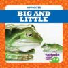 Cover image of Big and little