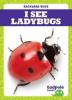 Cover image of I see ladybugs