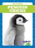 Cover image of Penguin chicks