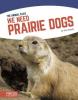 Cover image of We need prairie dogs