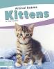 Cover image of Kittens