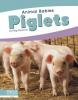 Cover image of Piglets