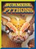 Cover image of Burmese pythons