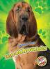 Cover image of Bloodhounds