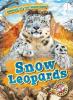 Cover image of Snow leopards