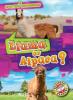 Cover image of Llama or alpaca?