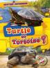Cover image of Turtle or tortoise?
