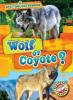 Cover image of Wolf or coyote?