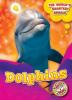 Cover image of Dolphins